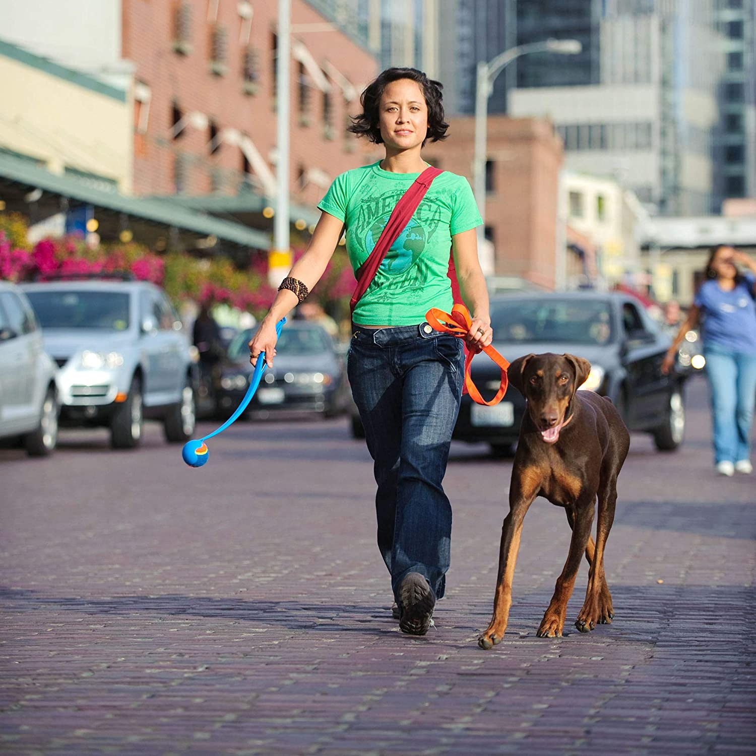 Lanza Pelotas para Perros ChuckIt! Clásico Lanza Pelotas para Perros ChuckIt! Clásico